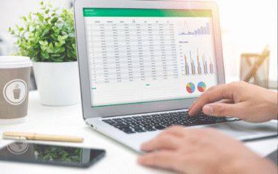 Веза између припреме буџета за ЈЛВ и система СПИРИ